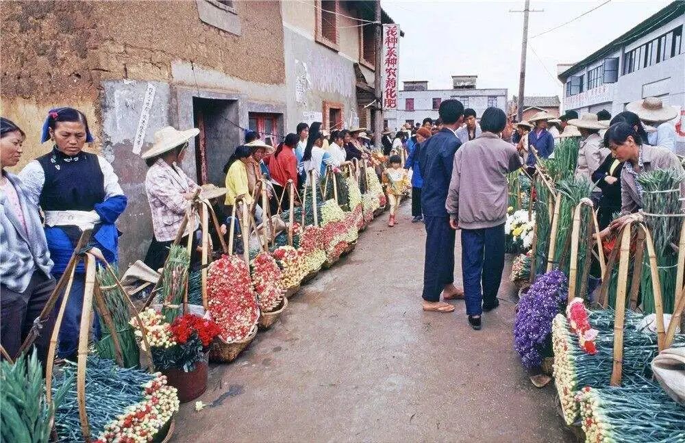 昆明花卉行业商会